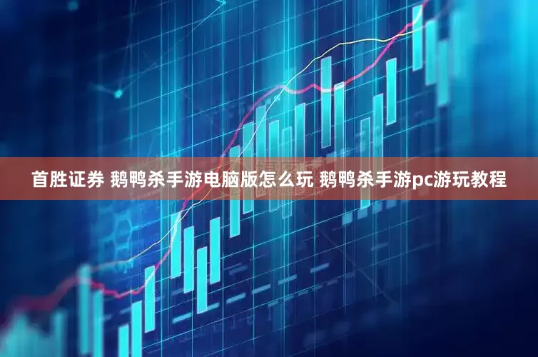 首胜证券 鹅鸭杀手游电脑版怎么玩 鹅鸭杀手游pc游玩教程